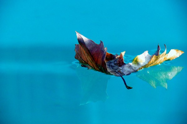 pulire la piscina