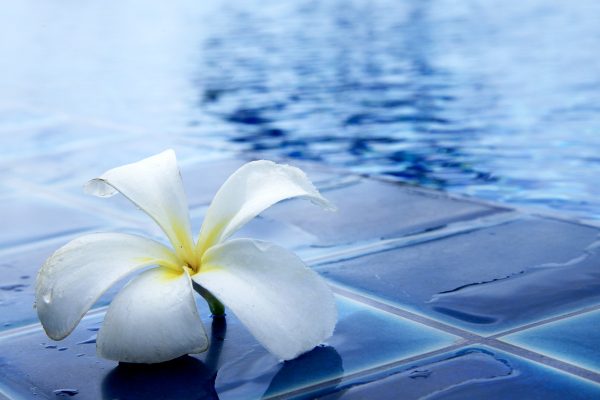 Quando costruire la piscina