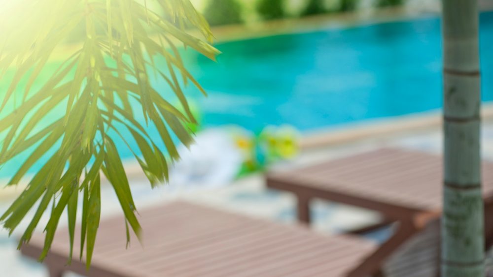 piscina con arredo giardino